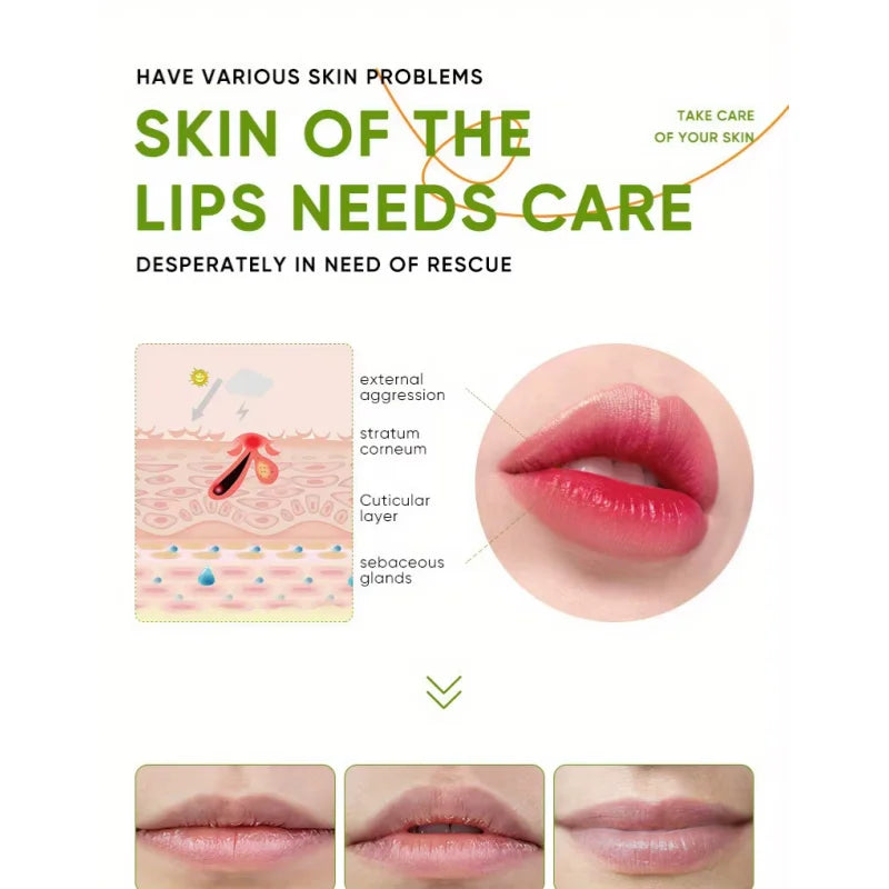 Aloe Lip Balm Healing Lasting Moisturizing All-natural Lip Mask For Dry Lips Lip Moisturizing Power Lip Care Nourishing Repair